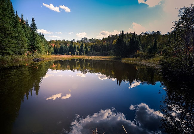Le Chastellares Hotel in Auron 1600 - France