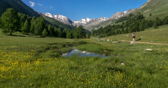 Hébergement à Auron : que faire au printemps dans les Alpes du Sud ?